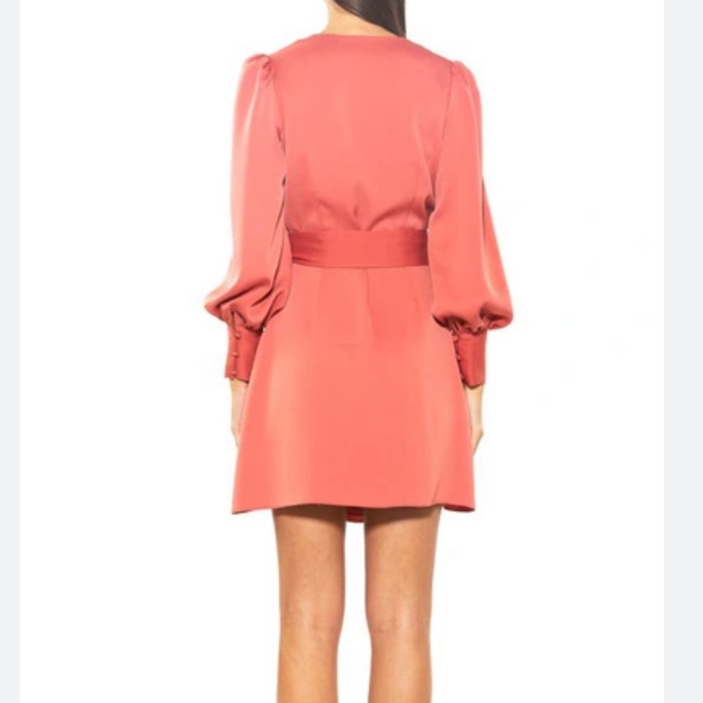 NWT Alexia Admor Wrap Dress in Terra, Size 4 - Picture 2 of 7